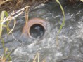 /album/corrego-agua-branca/imagem-139-jpg/